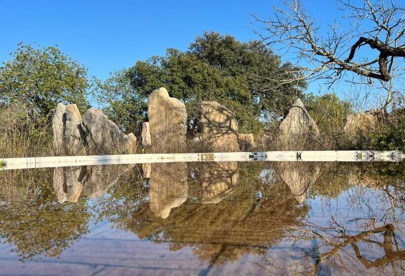 酒店 Monte Das Estrelas