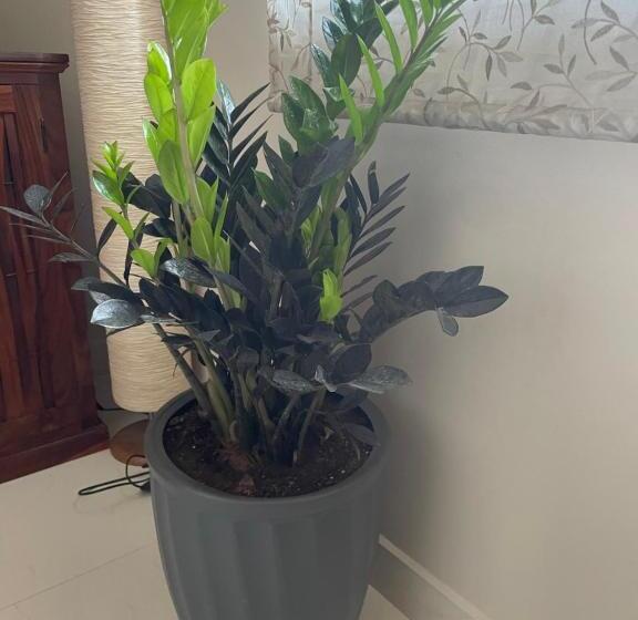 فندق North Avenue Suites