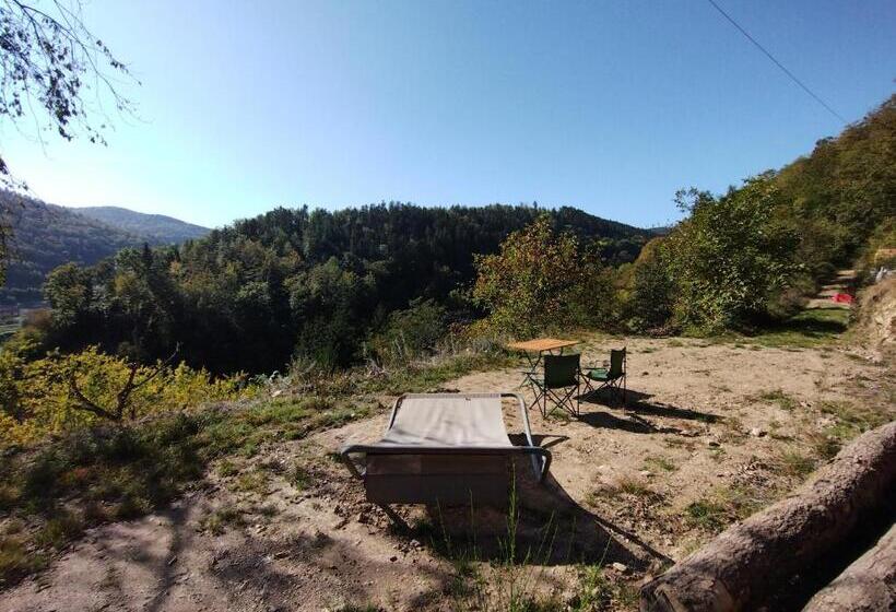 בית מלון כפרי Oyé