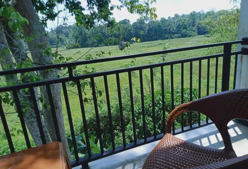 호텔 Paddy Bungalow