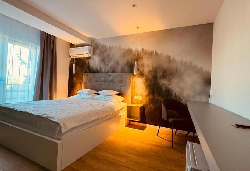 Отель Pensiunea Waldor