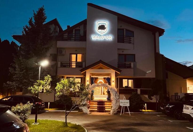 Отель Pensiunea Waldor