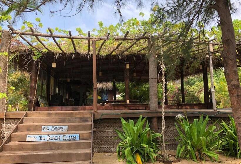 酒店 Sababa Surf Cafe Whiskey Point