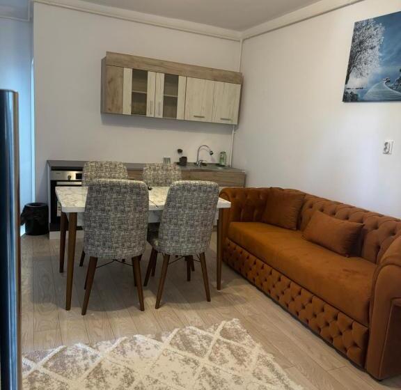 پانسیون Apartament S Moise