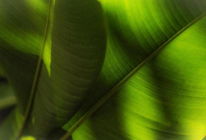 پانسیون Casa Norte Elyu