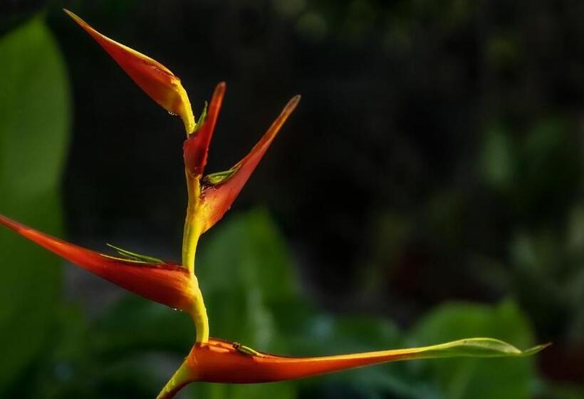 پانسیون Casa Norte Elyu