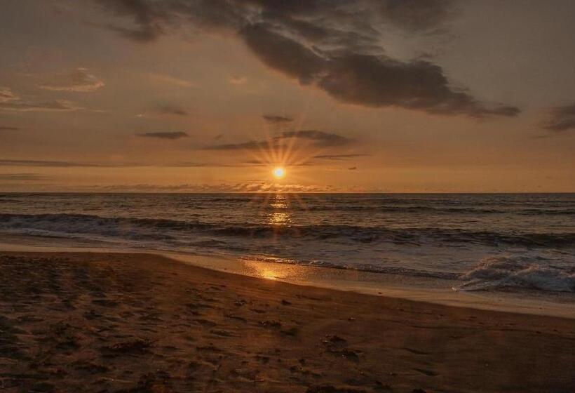 پانسیون Casa Norte Elyu