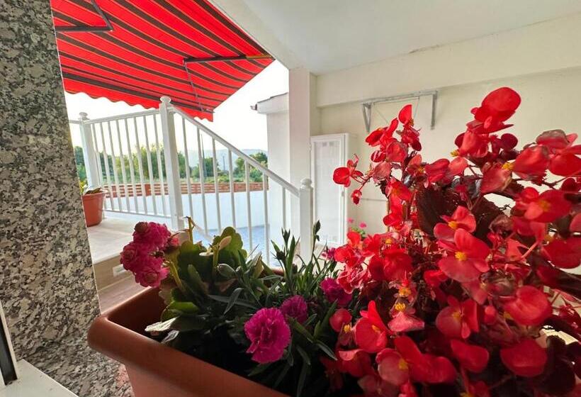 بنسيون Casa Oveja Negra 1