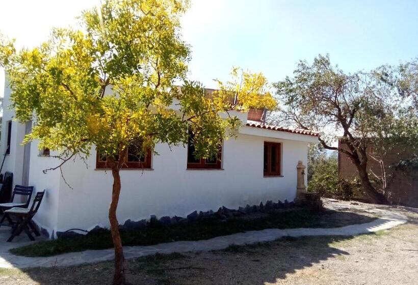 بنسيون Cortijo De Amor