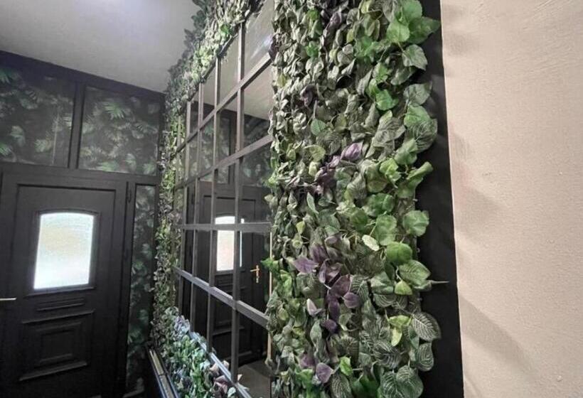 پانسیون Dream Home