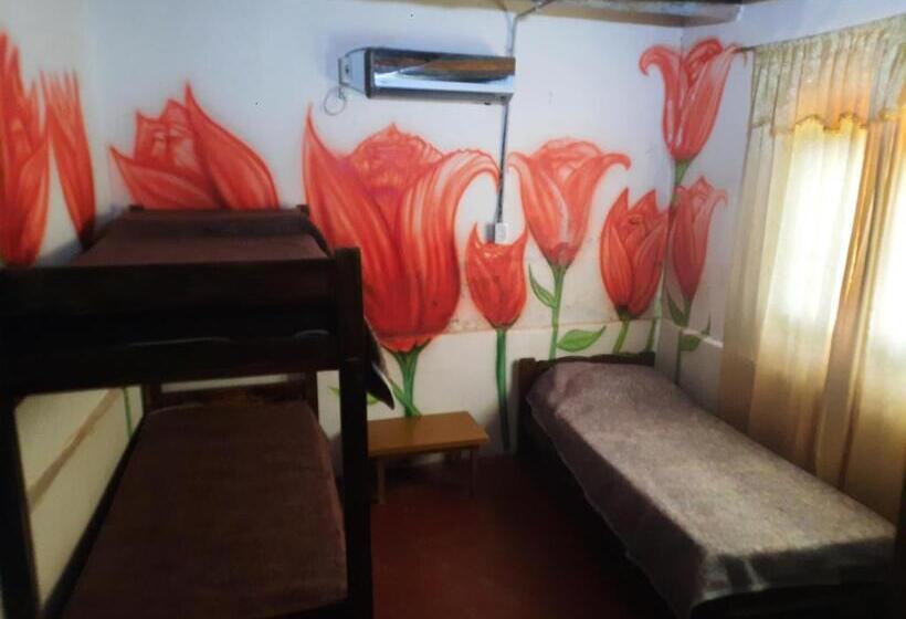 بنسيون Hostel El Submarino