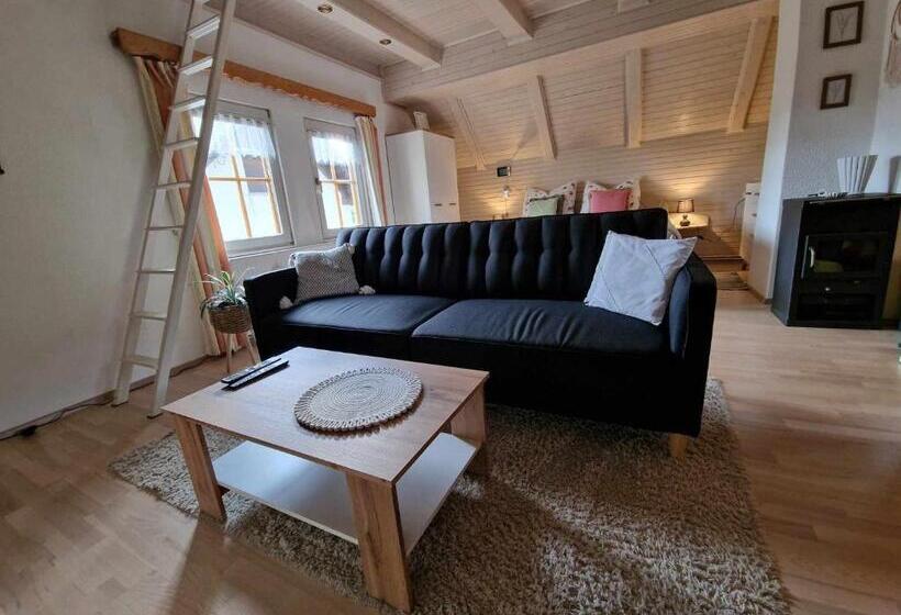 پانسیون House 29