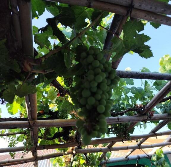 پانسیون Maison D Hôte Traditionnelle