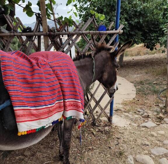 پانسیون Maison D Hôte Traditionnelle