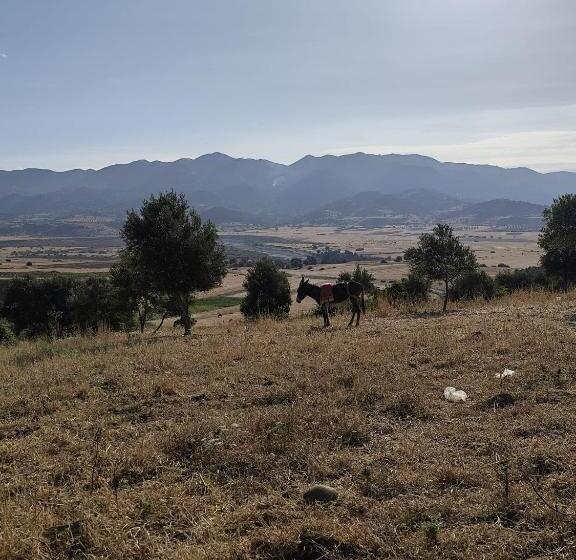 پانسیون Maison D Hôte Traditionnelle