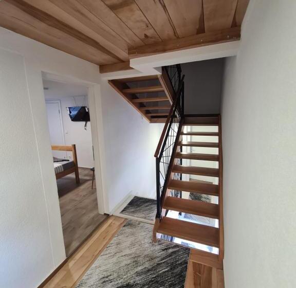 پانسیون No Name