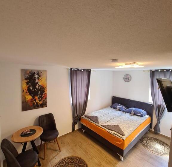 پانسیون No Name