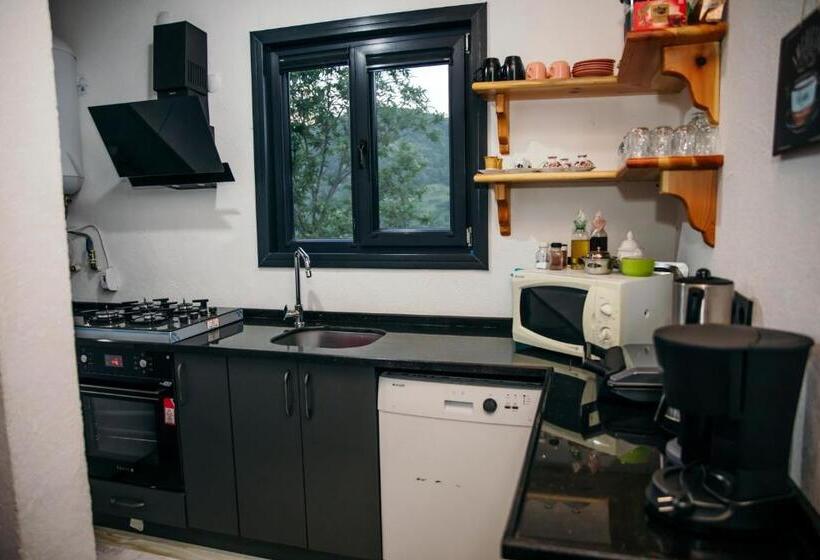 ペンション Sapanca Felix Suit