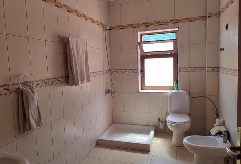 פנסיון The Village House