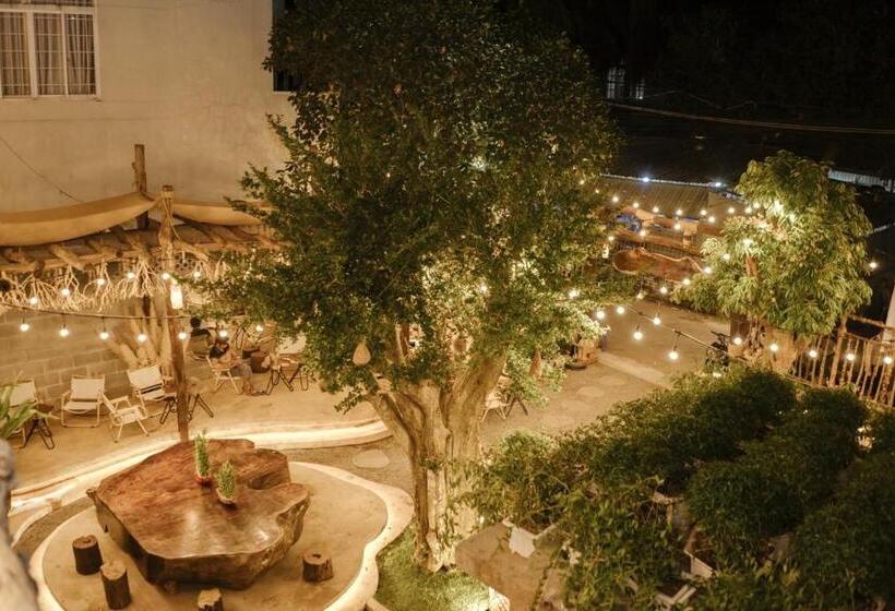 پانسیون Windy S House   Homestay & Cafe   Vũng Tàu