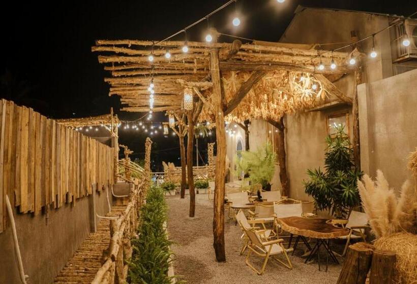 پانسیون Windy S House   Homestay & Cafe   Vũng Tàu