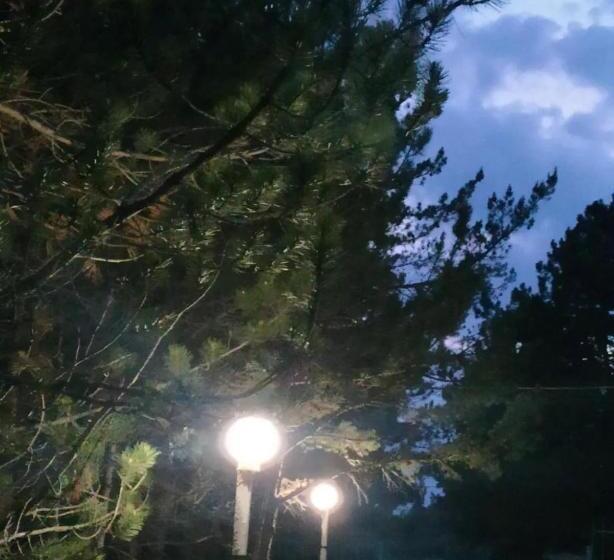 домик в лесу