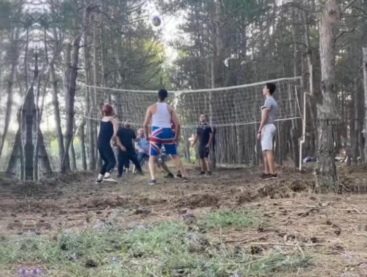 домик в лесу