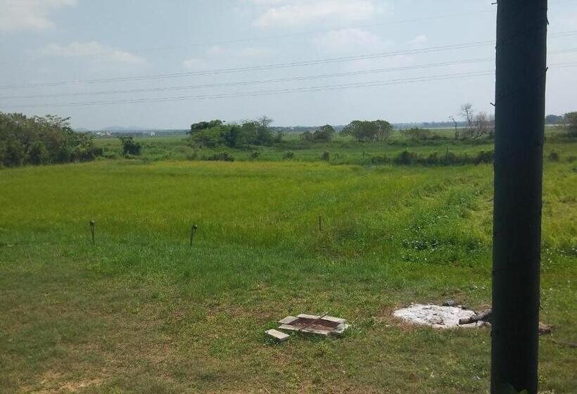 הוסטל Why Not Guesthouse