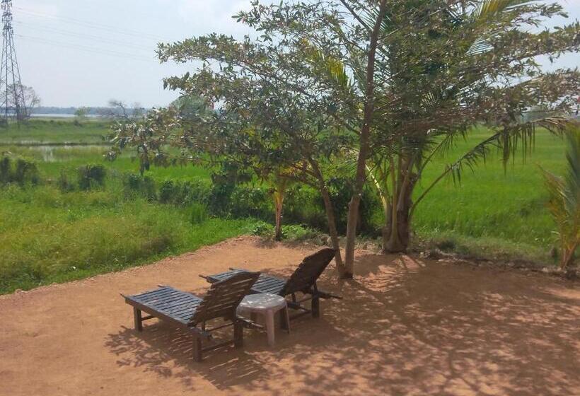 הוסטל Why Not Guesthouse