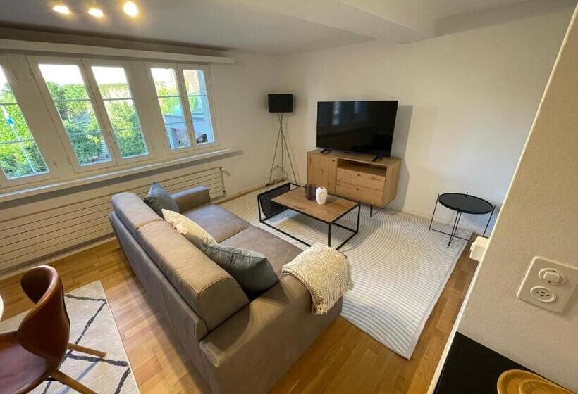 Ariser   Zug Old Town Suites