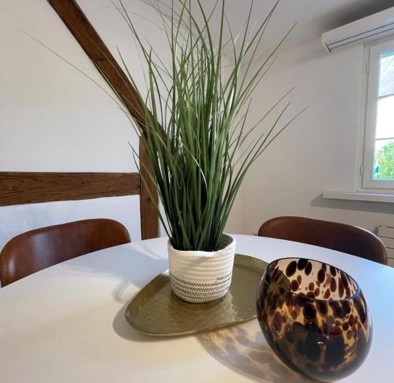 Ariser   Zug Old Town Suites