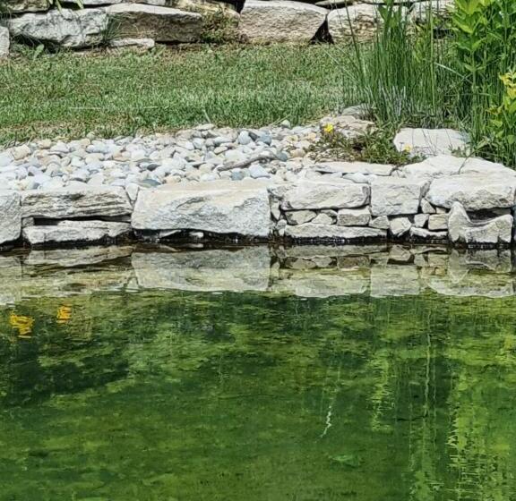 住宿加早餐  Domus Salviae