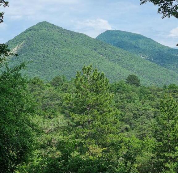 住宿加早餐  Domus Salviae