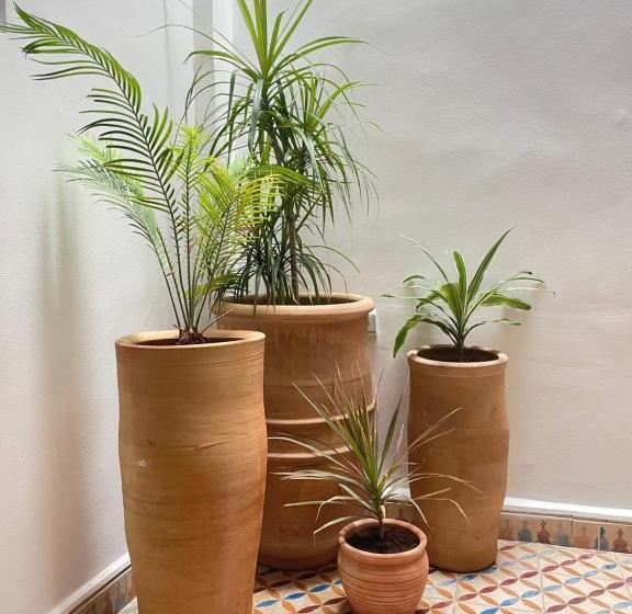 مبيت وإفطار Ecobay Hostel