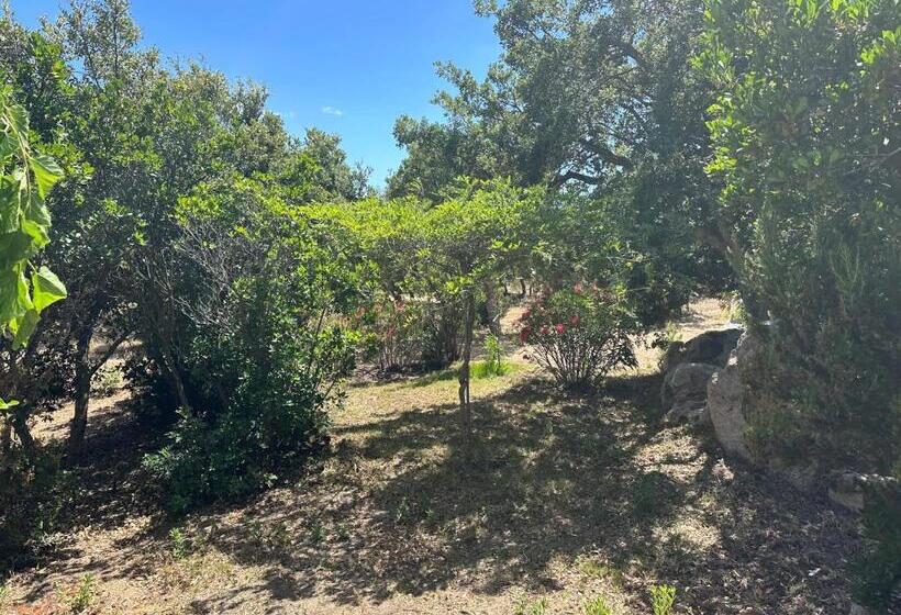 Bed and Breakfast Les Chambres Marcelle