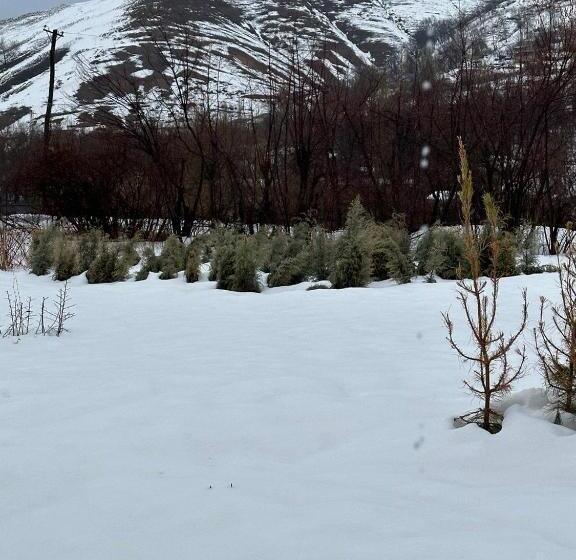 Chimgan Forest Garden Camping Resort