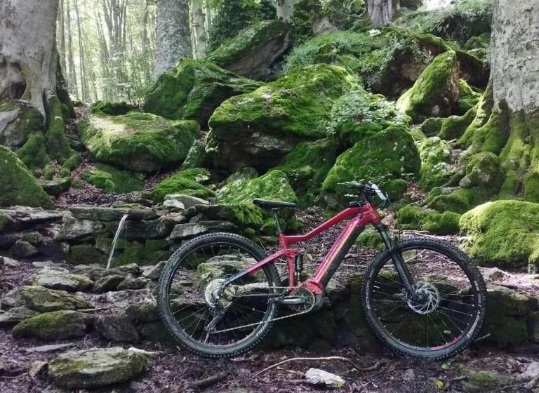 호텔 Agriturismo Acqua Bianca