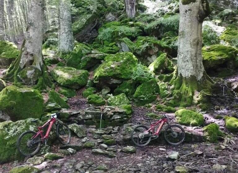 호텔 Agriturismo Acqua Bianca