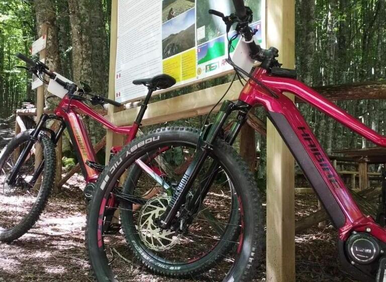 호텔 Agriturismo Acqua Bianca