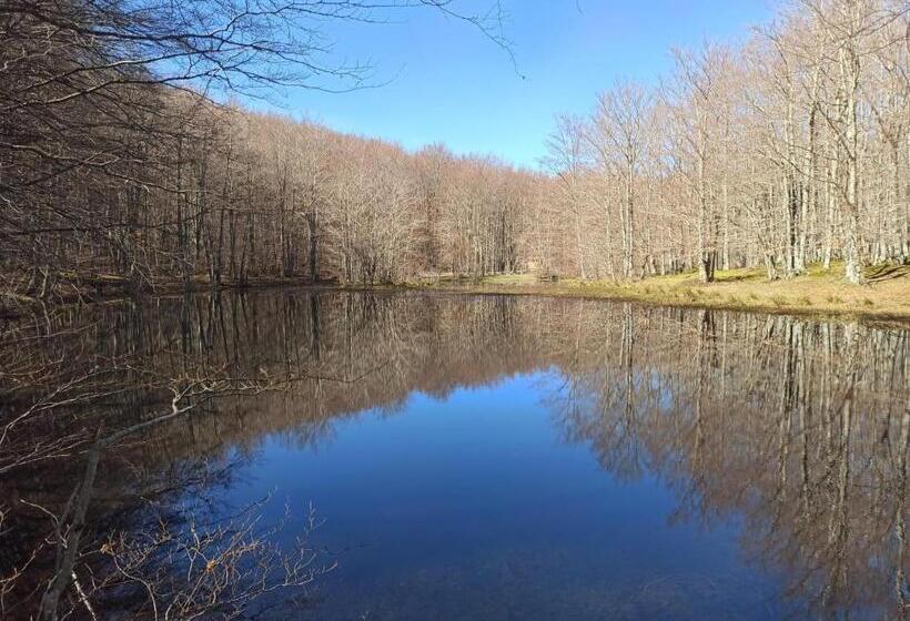 호텔 Agriturismo Acqua Bianca