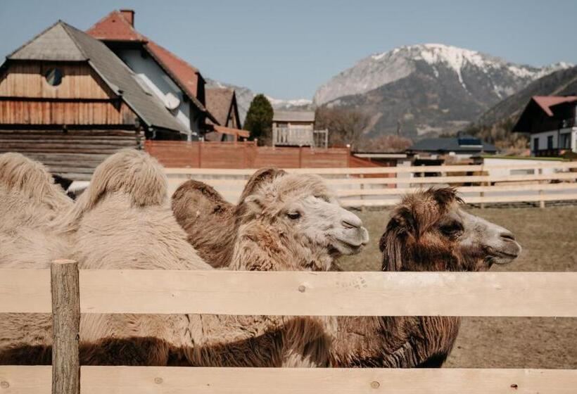 فندق Alpakas, Lamas Und Rentiere Zum Grünen See