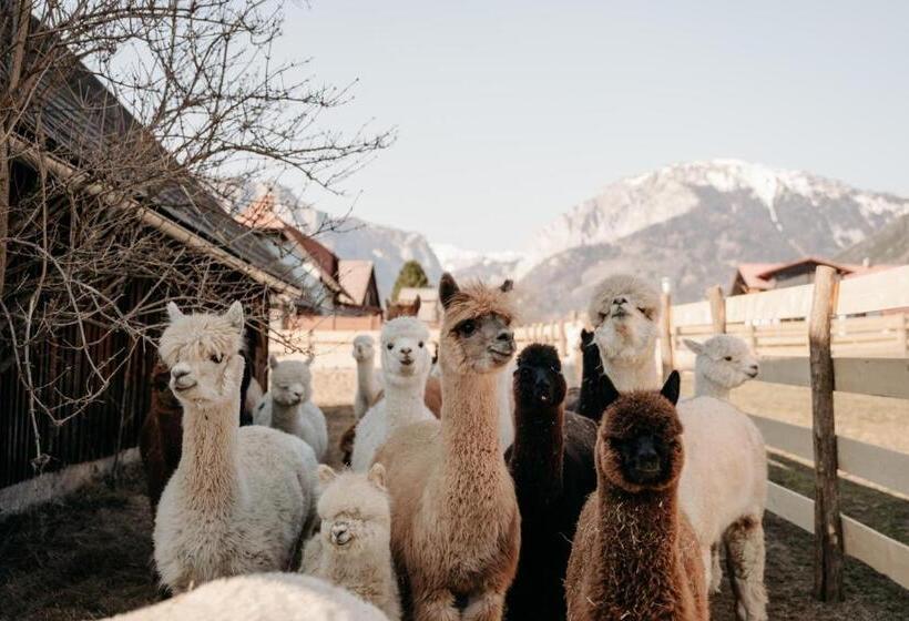 فندق Alpakas, Lamas Und Rentiere Zum Grünen See