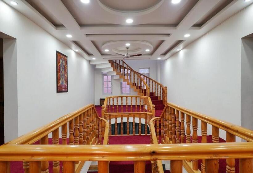 Отель Villa Homey Inn , Srinagar
