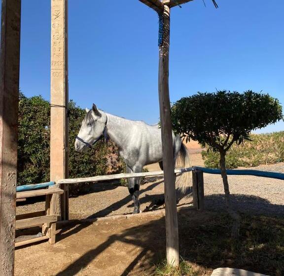 هتل Les Cavaliers Chez Yassine