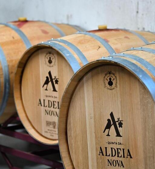 酒店 Quinta Da Aldeia Nova