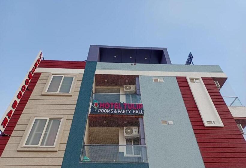 Отель Tulip Kota