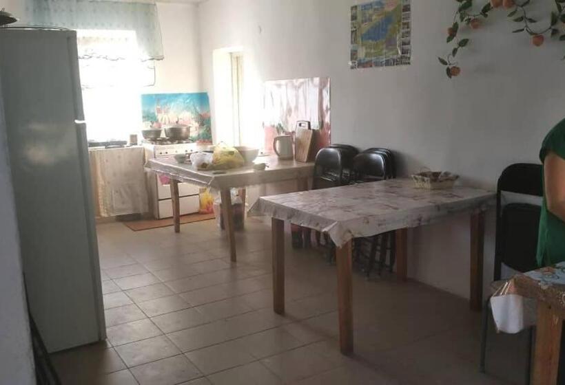 پانسیون баяс