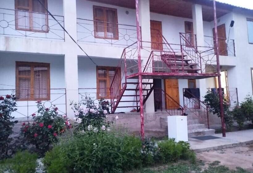 پانسیون баяс