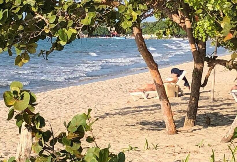 פנסיון Bamboo Rincon Del Mar