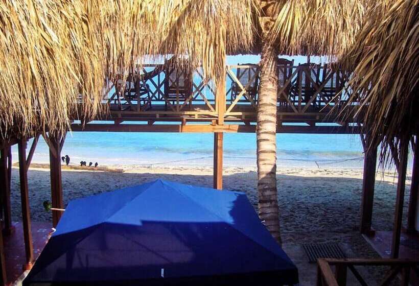 פנסיון Bamboo Rincon Del Mar